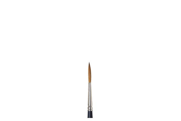 ARTISTS WATERCOLOUR BRUSH Sable Rigger 4